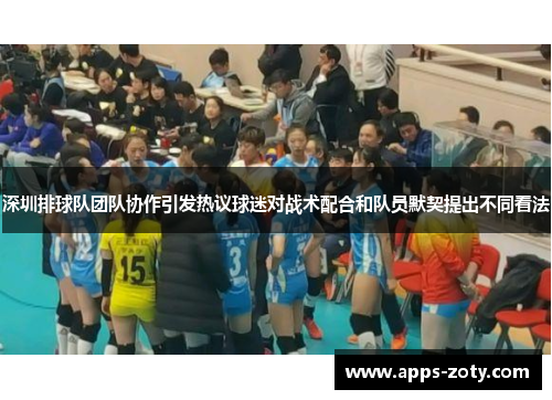 深圳排球队团队协作引发热议球迷对战术配合和队员默契提出不同看法