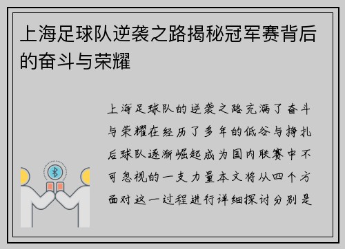 上海足球队逆袭之路揭秘冠军赛背后的奋斗与荣耀